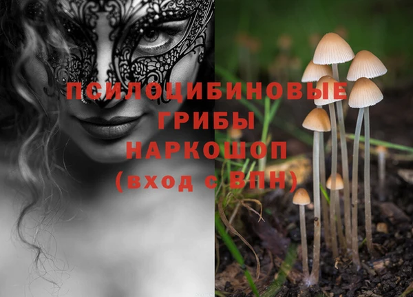 2c-b Алзамай