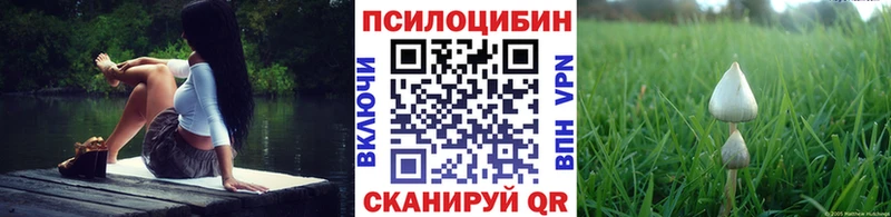 MEGA   Нефтекамск  Галлюциногенные грибы Cubensis  наркотики 