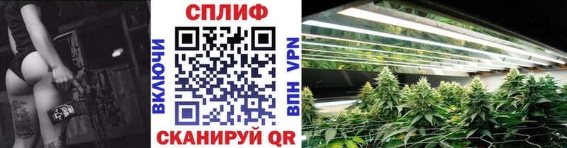 Конопля Amnesia  Нефтекамск 